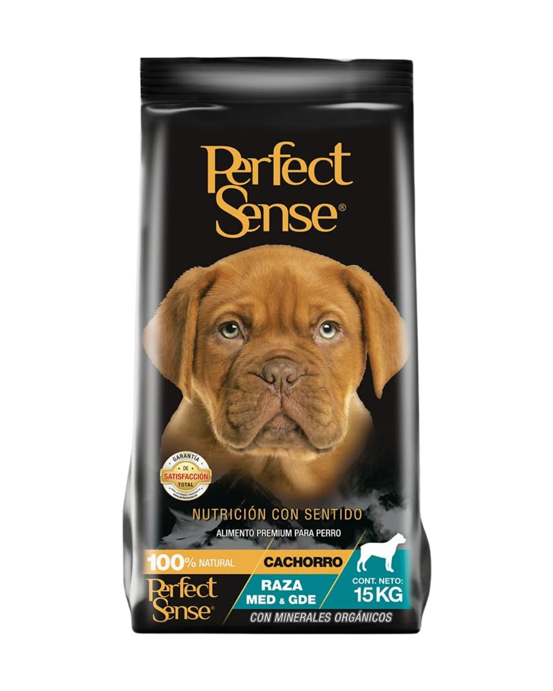 Perfect Sense Cachorro