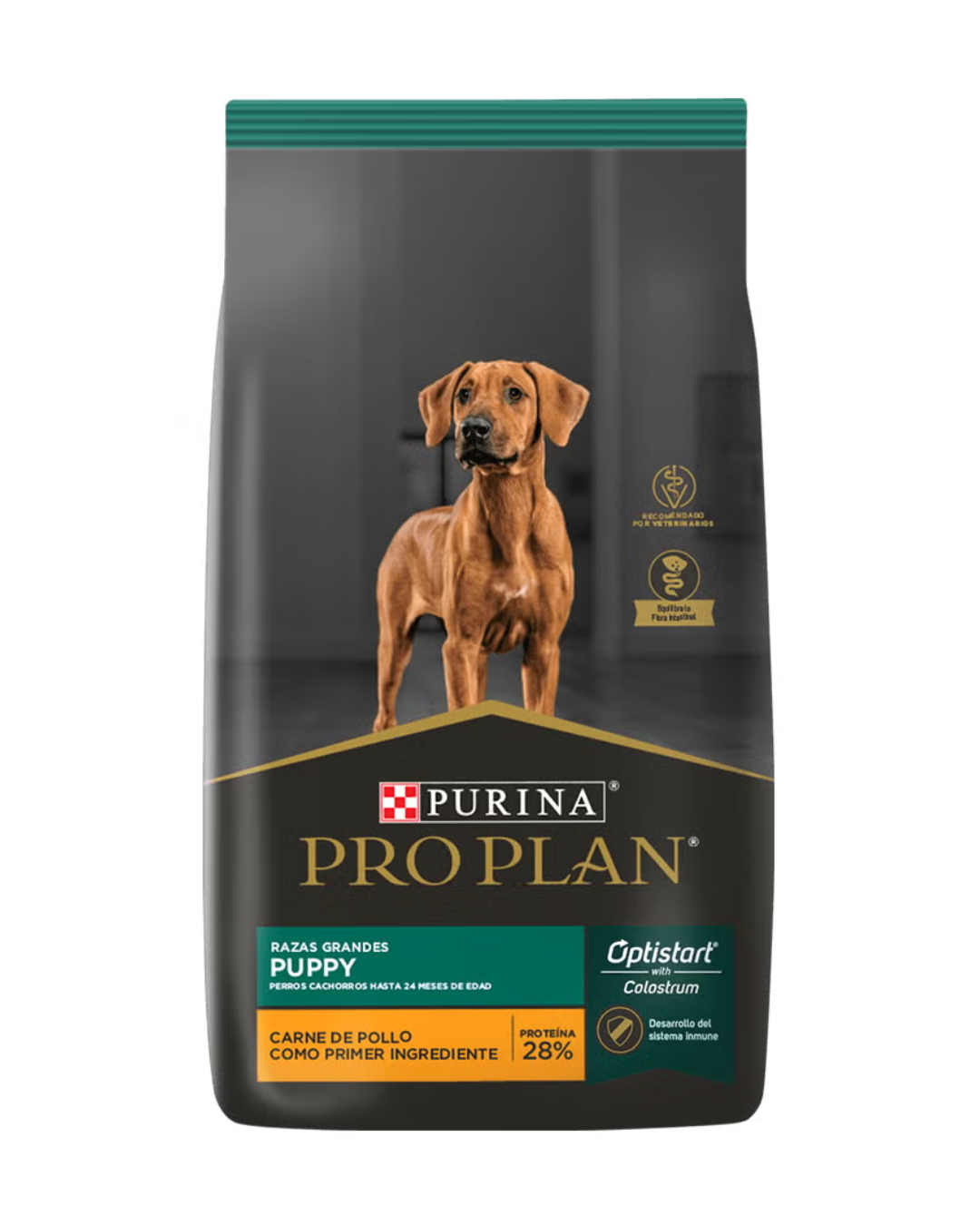 Pro Plan Cachorro Raza Grande