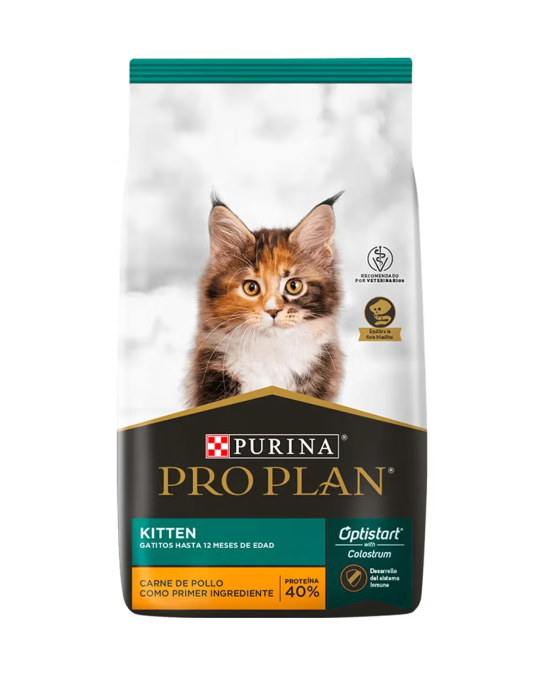 Pro Plan Kitten