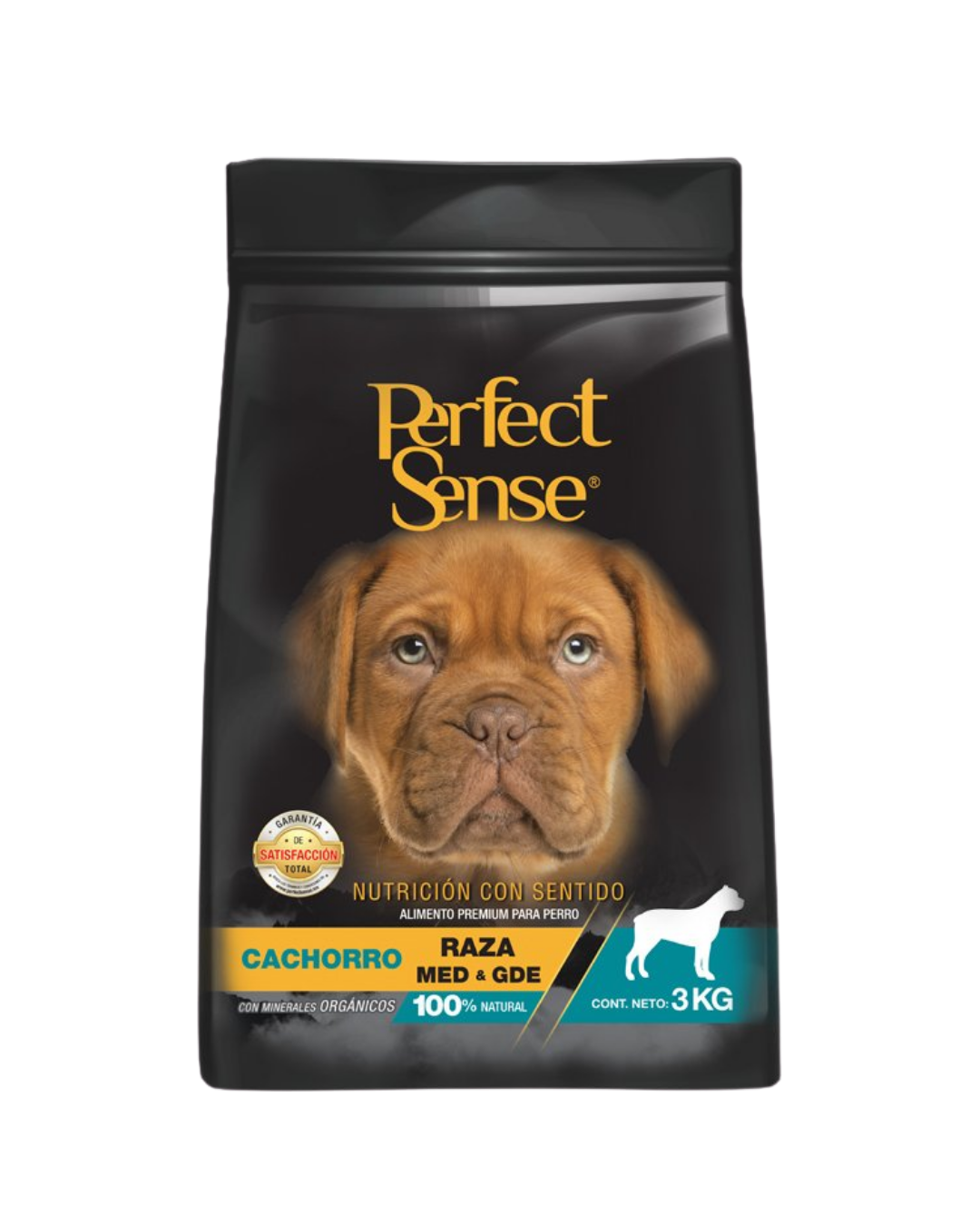 Perfect Sense Cachorro