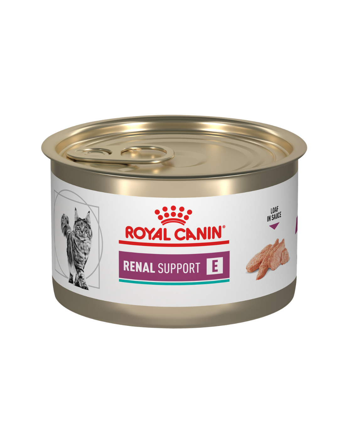 Royal Canin Gato Renal Support E 145g