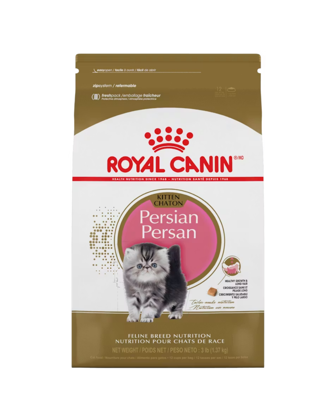 Royal Canin Gato Persian Kitten