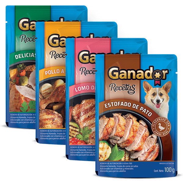 Ganador Recetas (húmedo)