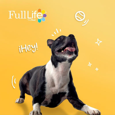 Full Life