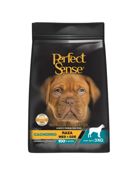 Perfect Sense Cachorro