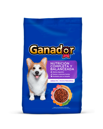Ganador Adulto Raza Pequeña