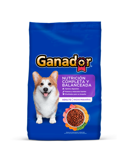 Ganador Adulto Raza Pequeña