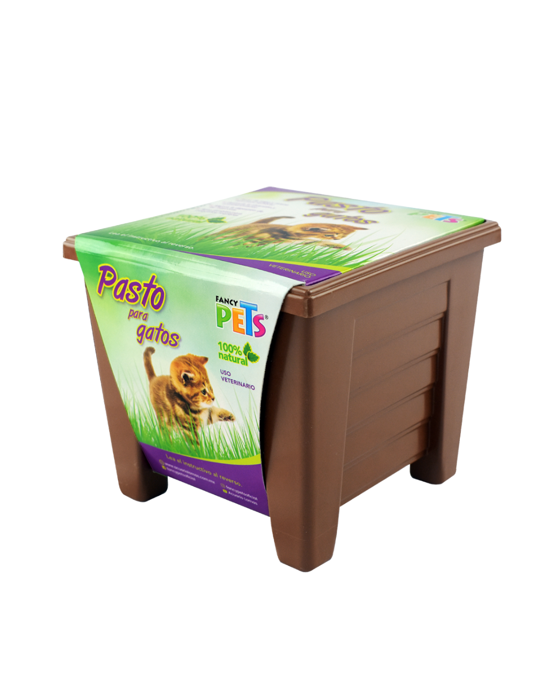 Pasto para gatos