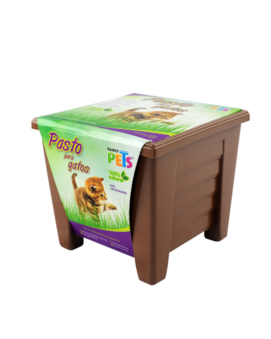 Pasto para gatos