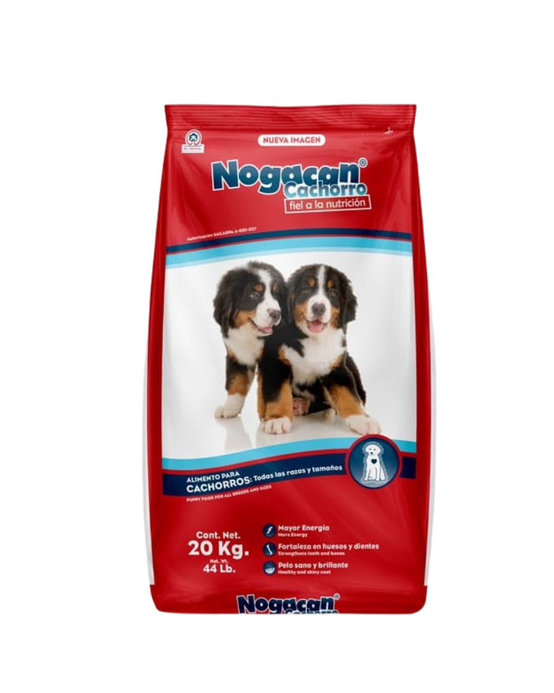 Nogacan Cachorro