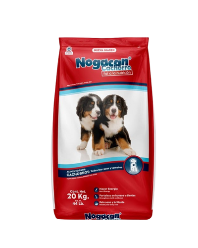 Nogacan Cachorro