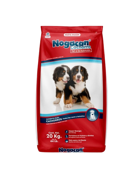 Nogacan Cachorro