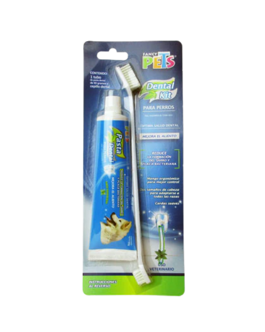Kit dental