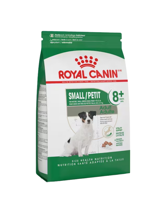 Royal Canin Perro Small Adult 8+ (senior razas pequeñas)