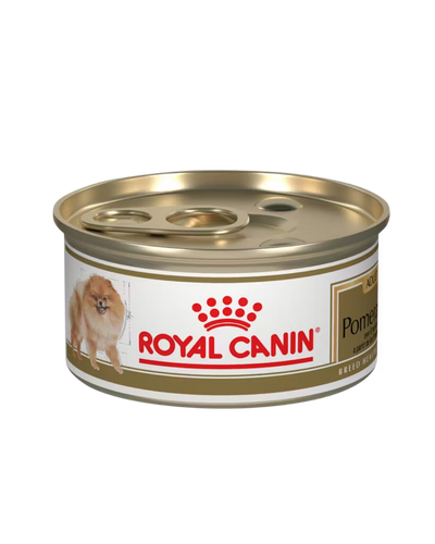 Royal Canin Pomeranian (lata)