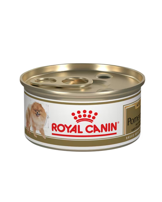Royal Canin Pomeranian (lata)