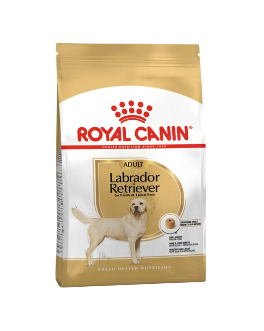 Royal Canin Labrador Adulto