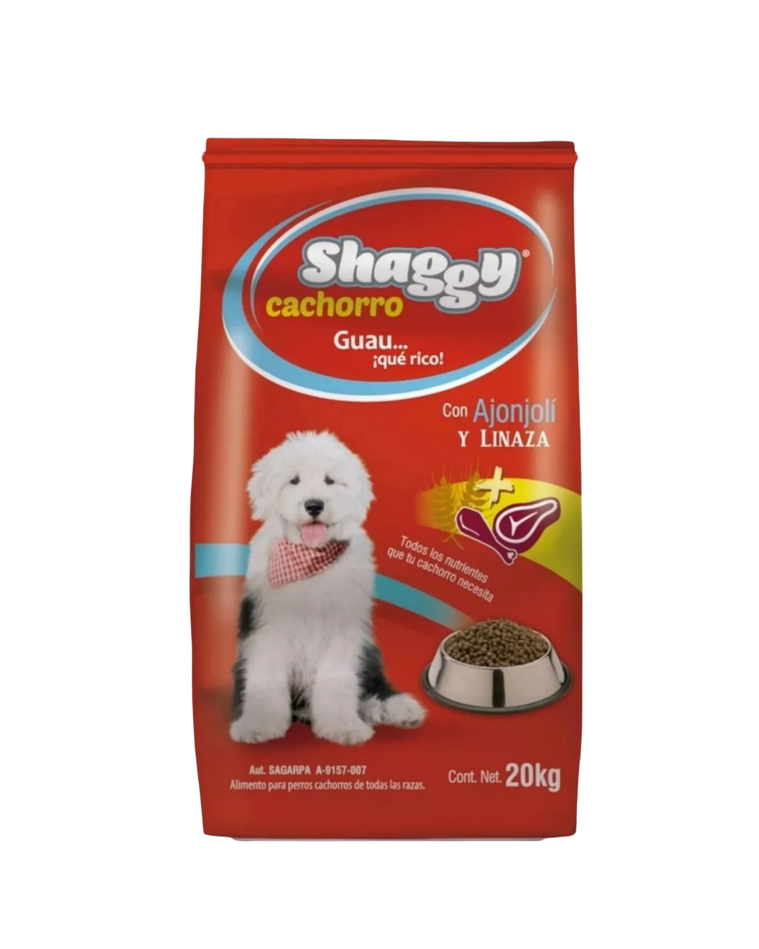 Shaggy Cachorro