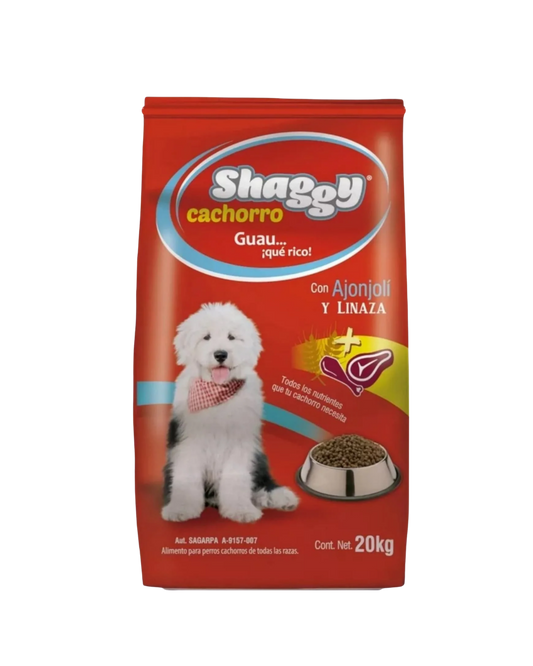 Shaggy Cachorro