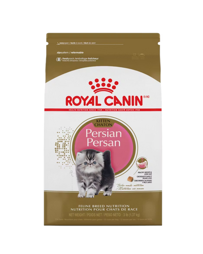 Royal Canin Gato Persian Kitten