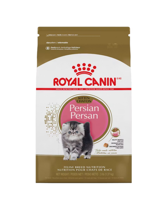 Royal Canin Gato Persian Kitten