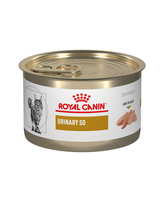 Royal Canin Urinary SO Feline (Húmedo) 145g