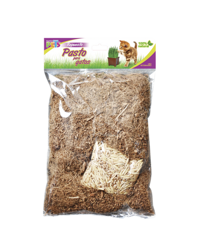 Pasto para gato (repuesto)