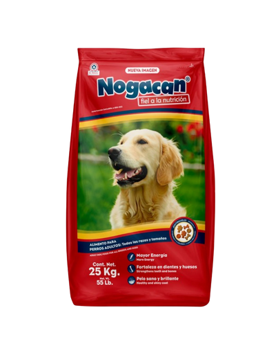 Nogacan Adulto