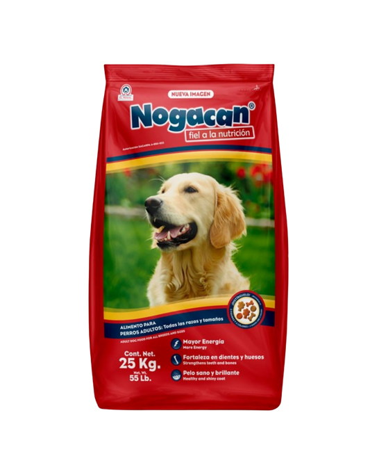 Nogacan Adulto