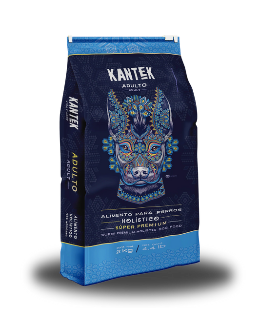 Kantek Adulto