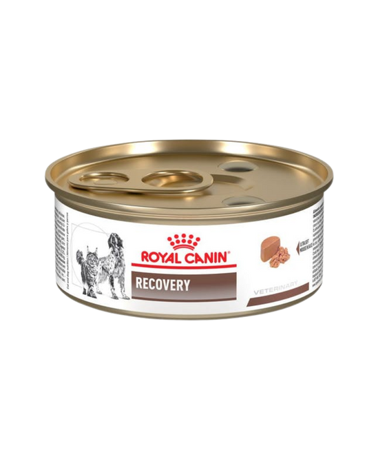 Royal Canin Recovery Perros y Gatos