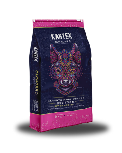 Kantek Cachorro