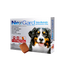 Nexgard