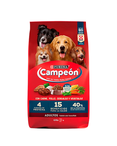 Campeón Adulto