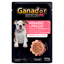 Ganador Premium (Sobres 100g)