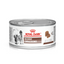 Royal Canin Recovery Perros y Gatos
