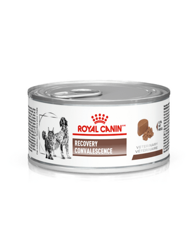 Royal Canin Recovery Perros y Gatos