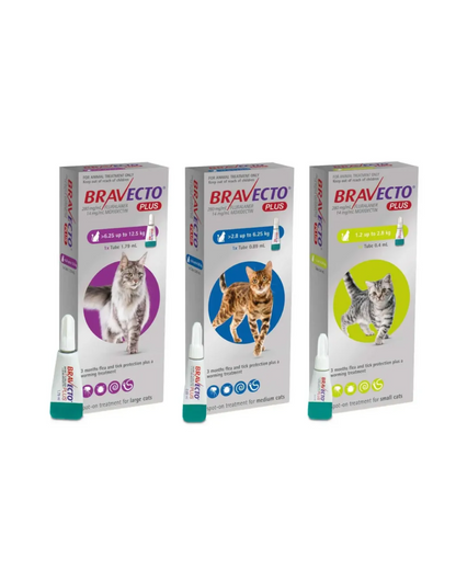 Bravecto Plus Gato