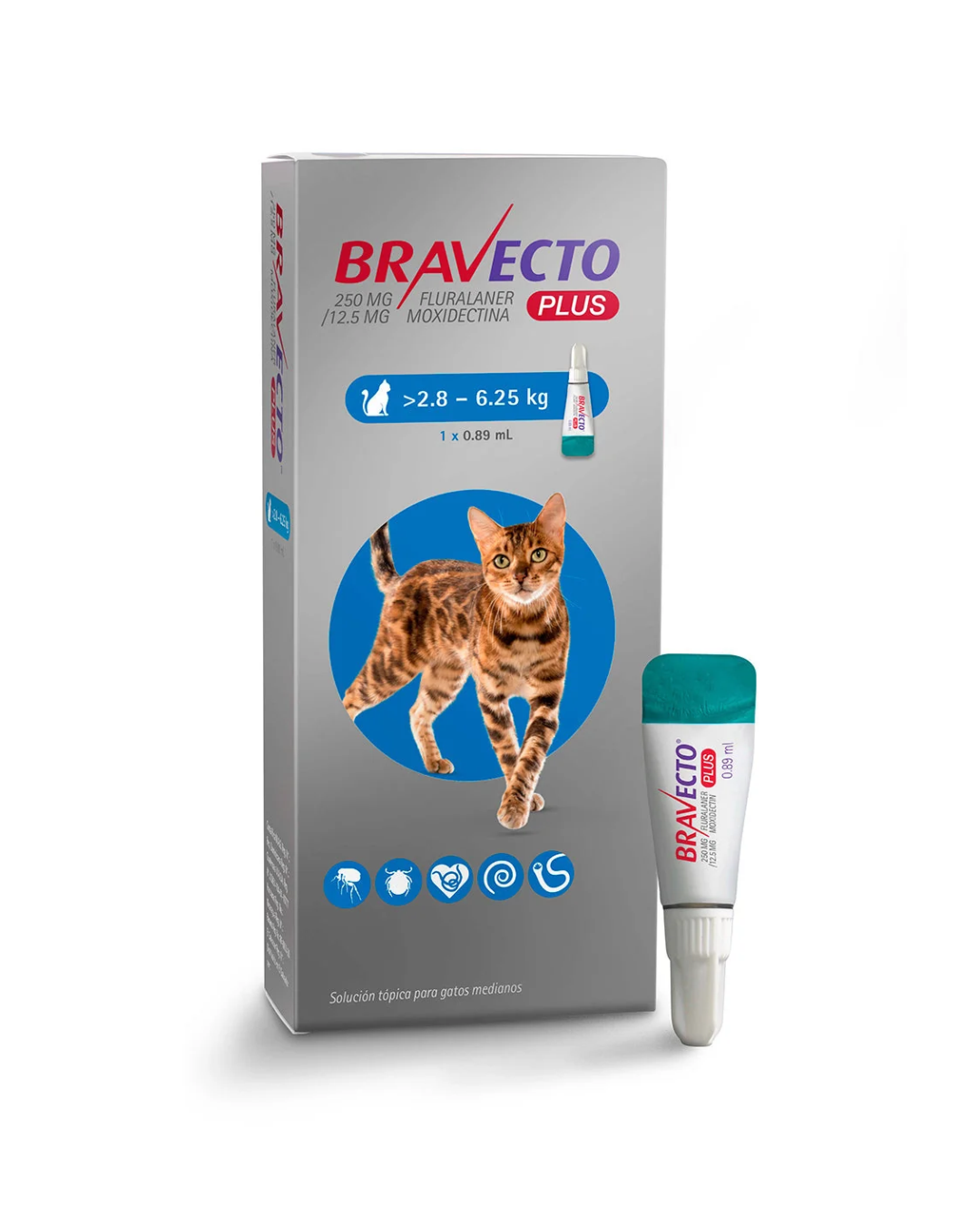Bravecto Plus Gato