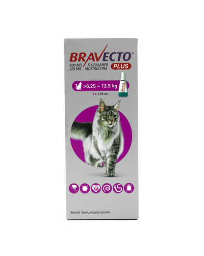 Bravecto Plus Gato