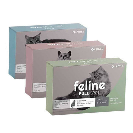 Feline Full Spot