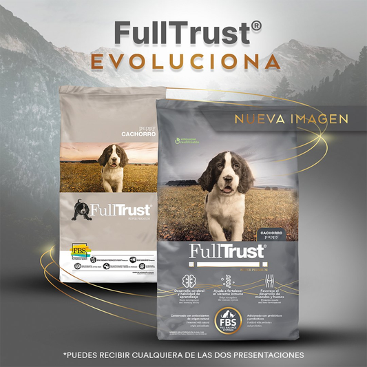 FullTrust Cachorro