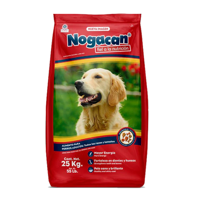 Nogacan Adulto
