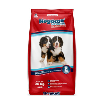 Nogacan Cachorro