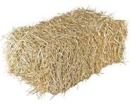 Paca de Zacate