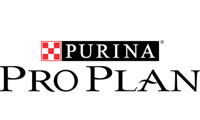 Marca 4