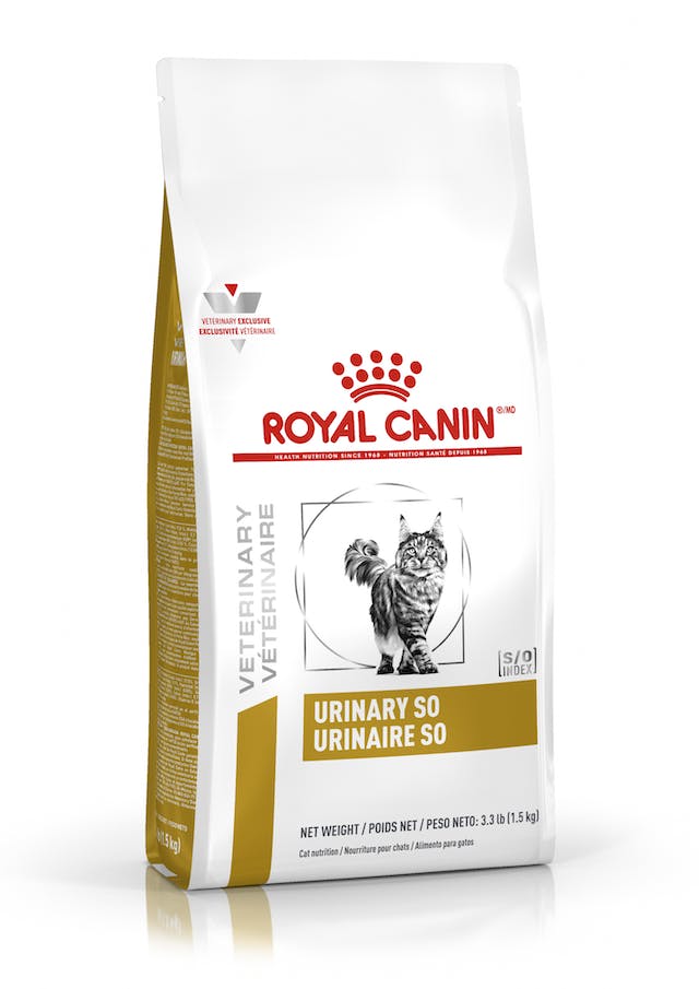 Royal Canin Urinary SO para Gatos